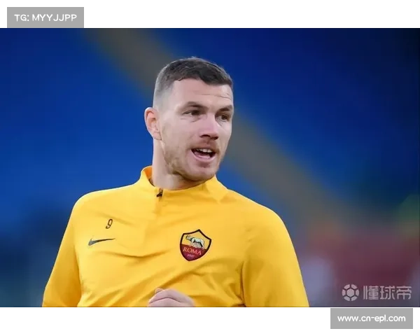 国际米兰新城建设受资金困扰暂时搁置项目推进计划